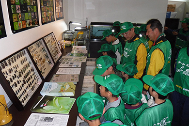 久保川流域の生態系