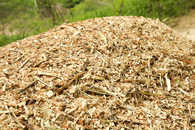 ウッドチップづくり完了