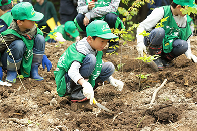 B班ではトチやブナ、ミズナラの苗木を500本も植樹することが出来ました