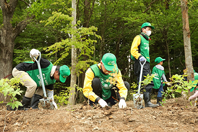 B班ではトチやブナ、ミズナラの苗木を500本も植樹することが出来ました