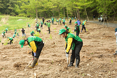 B班ではトチやブナ、ミズナラの苗木を500本も植樹することが出来ました