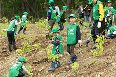 B班ではトチやブナ、ミズナラの苗木を500本も植樹することが出来ました