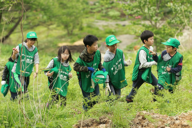 オマケで・・ワラビ採取体験