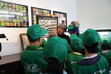 身近に暮らす生き物を知る