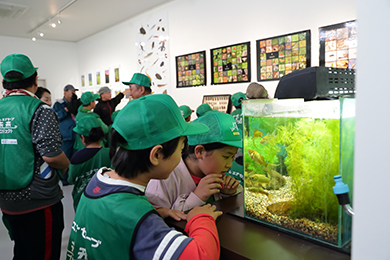 身近に暮らす生き物を知る