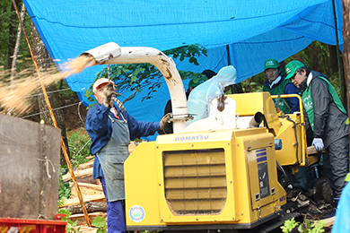 ウッドチップによる歩道の整備