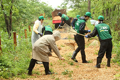 ウッドチップによる歩道の整備