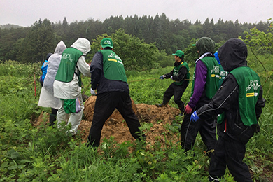 「カスミザクラ」の記念植樹