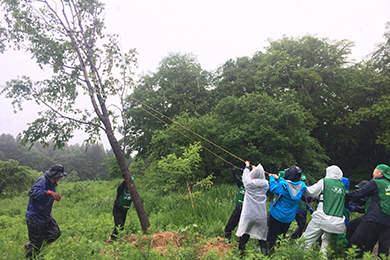 「カスミザクラ」の記念植樹