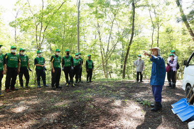 ウッドチップによる散策路の整備