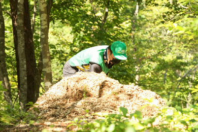 ウッドチップによる散策路の整備