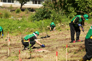 植樹活動