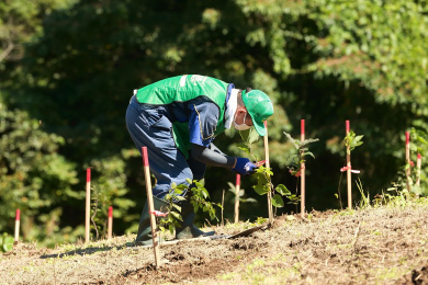 5年後、10年後にどんな森に成長しているか楽しみです