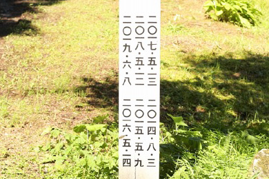 これまで毎年植樹した場所を見て活動の成果を実感