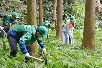 大鎌、刈りこみばさみを使っての草刈り