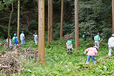 大鎌、刈りこみばさみを使っての草刈り