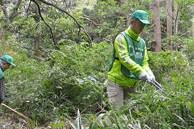 大鎌、刈りこみばさみを使っての草刈り