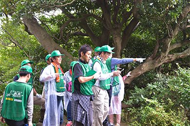 かながわの景勝50選にも選ばれている十王岩の展望