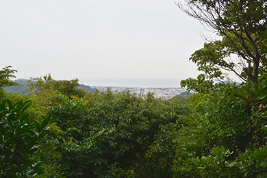 かながわの景勝50選にも選ばれている十王岩の展望