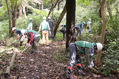 険しい山の中での草刈り作業
