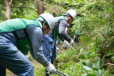 険しい山の中での草刈り作業