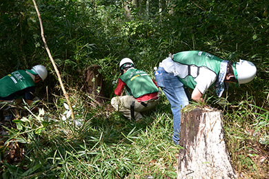 険しい山の中での草刈り作業