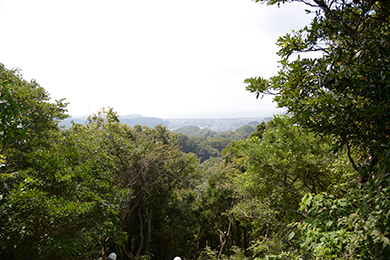 かながわの景勝50選の眺望