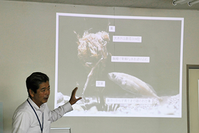 ムサシトミヨとは