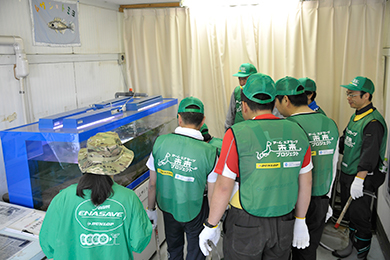 ムサシトミヨとは