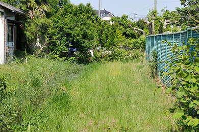 地元の方と一緒に草刈り