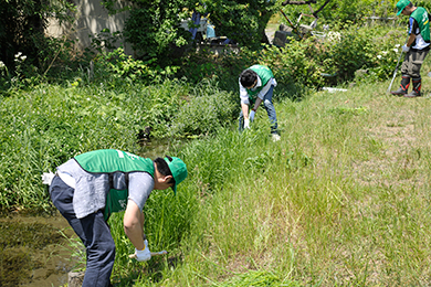 地元の方と一緒に草刈り