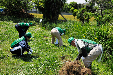 地元の方と一緒に草刈り
