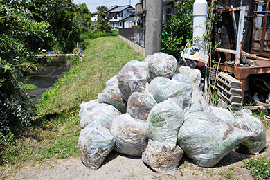 たくさん草を刈りました