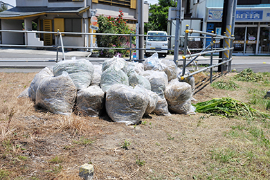 たくさん草を刈りました