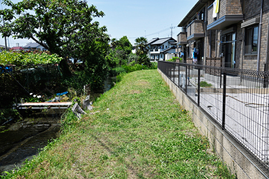 たくさん草を刈りました