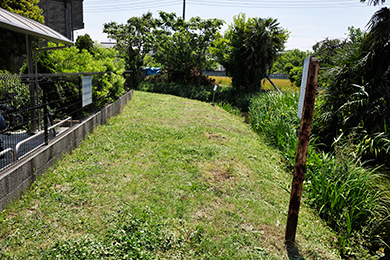 たくさん草を刈りました