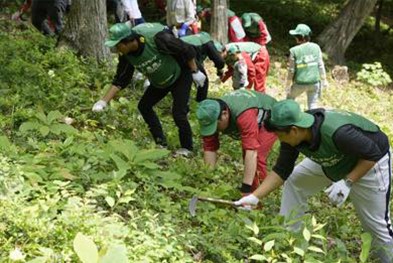 にいがた森林の仲間の会