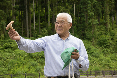 シイタケの植菌体験
