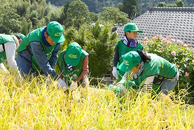 NPO法人英田上山棚田団