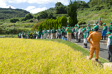 豊作の棚田で稲刈り開始