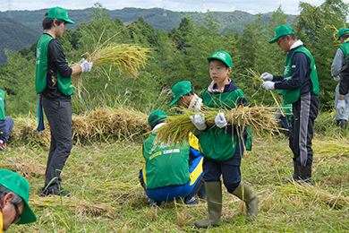 子どもたちも一緒に稲刈り!