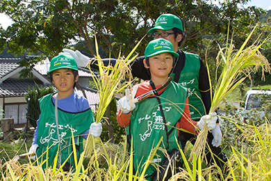 子どもたちも一緒に稲刈り!