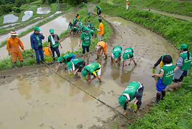 NPO法人英田上山棚田団