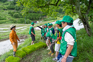 田植えのご説明
