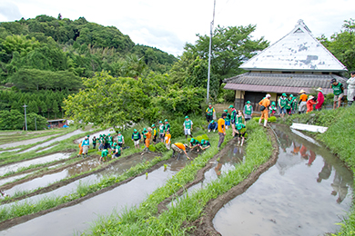 田植えのご説明