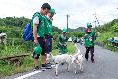 ヤギも立派なスタッフの一員です