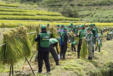 NPO法人英田上山棚田団