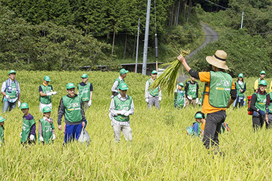 稲刈りのご説明