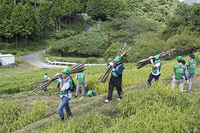 はぜ干し(天日干し)
