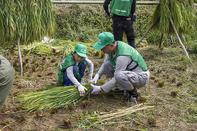 はぜ干し(天日干し)